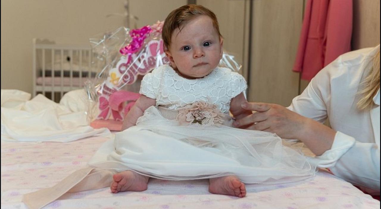 variety of photographs