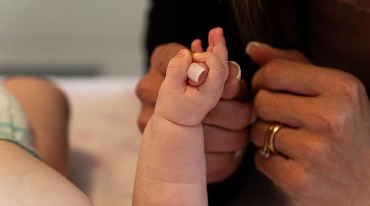 variety of photographs