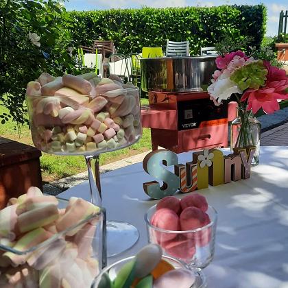 L' ANIMATRICE GIOCHERELLONA