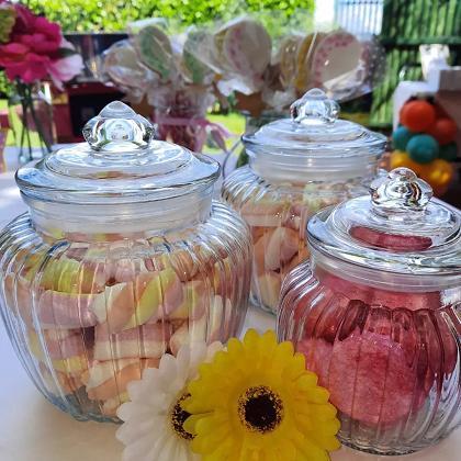 L' ANIMATRICE GIOCHERELLONA