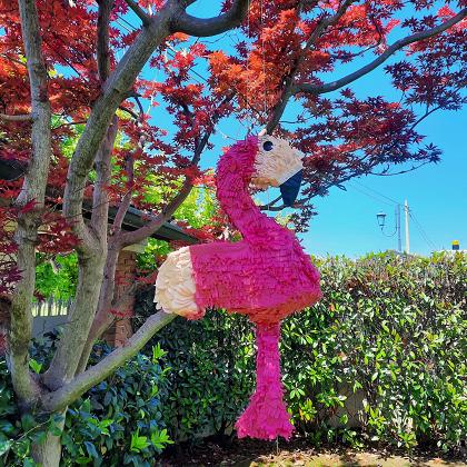 L' ANIMATRICE GIOCHERELLONA