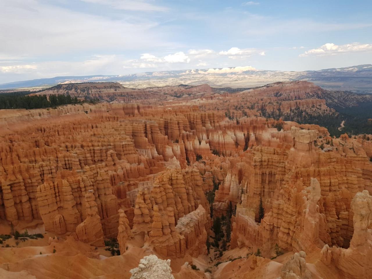 Giulia Viaggi su Misura