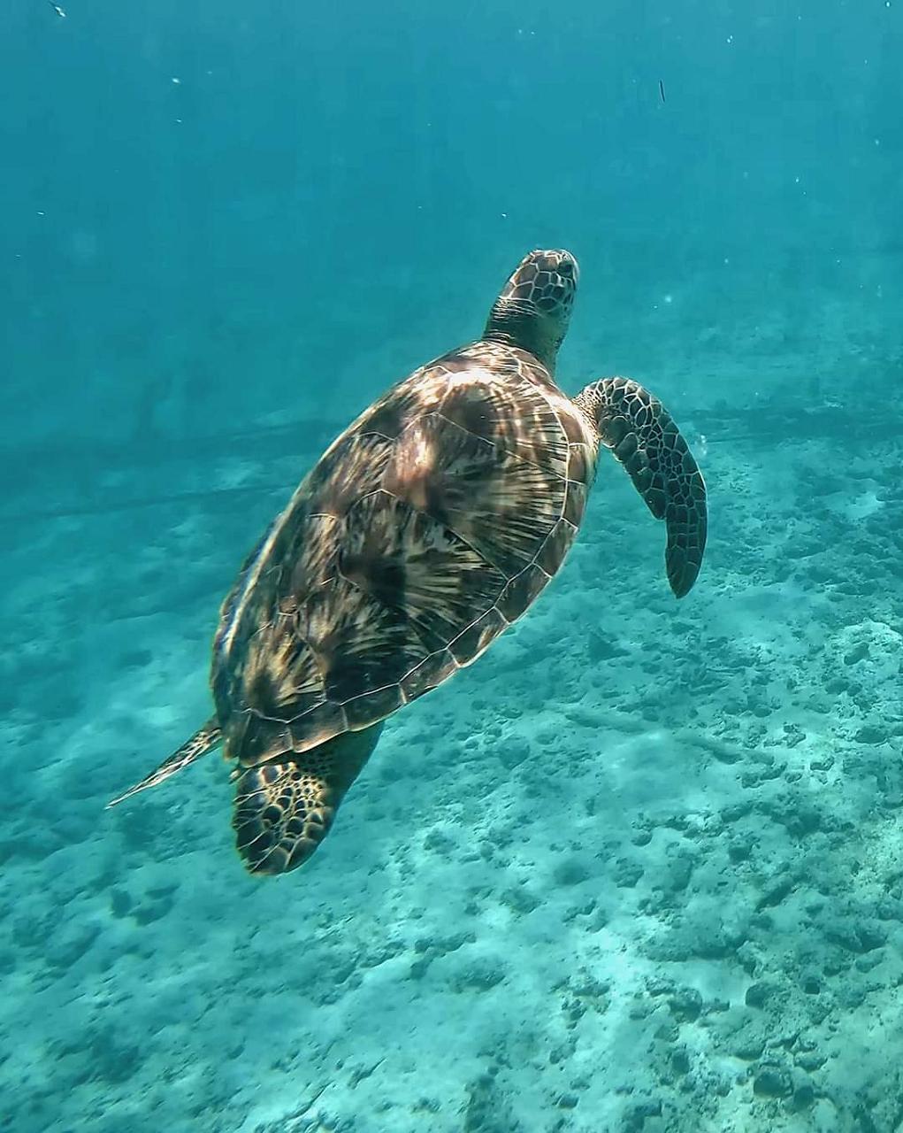 Giulia Viaggi su Misura
