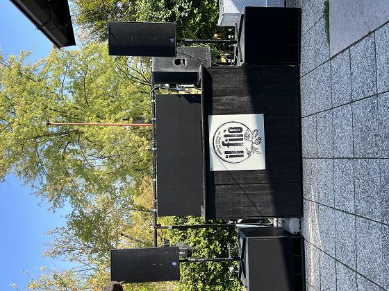 Sound imported audio & light 