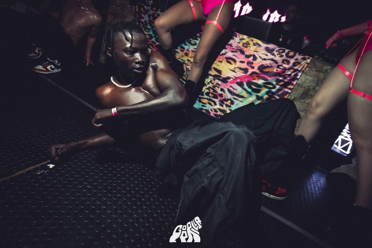 Junior Mabcke Fall | Performers Agency