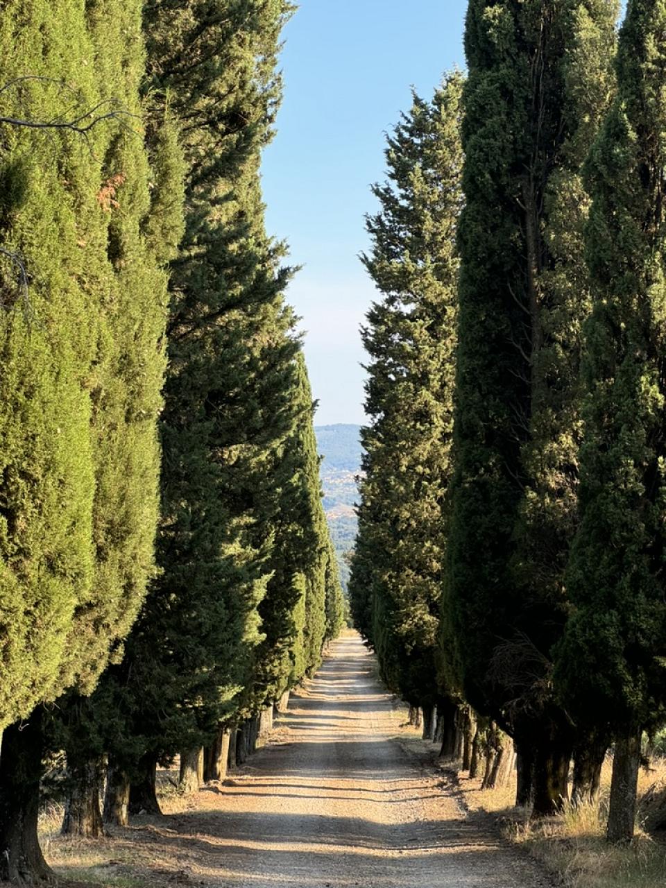 Poggio Corsucci - location esclusiva