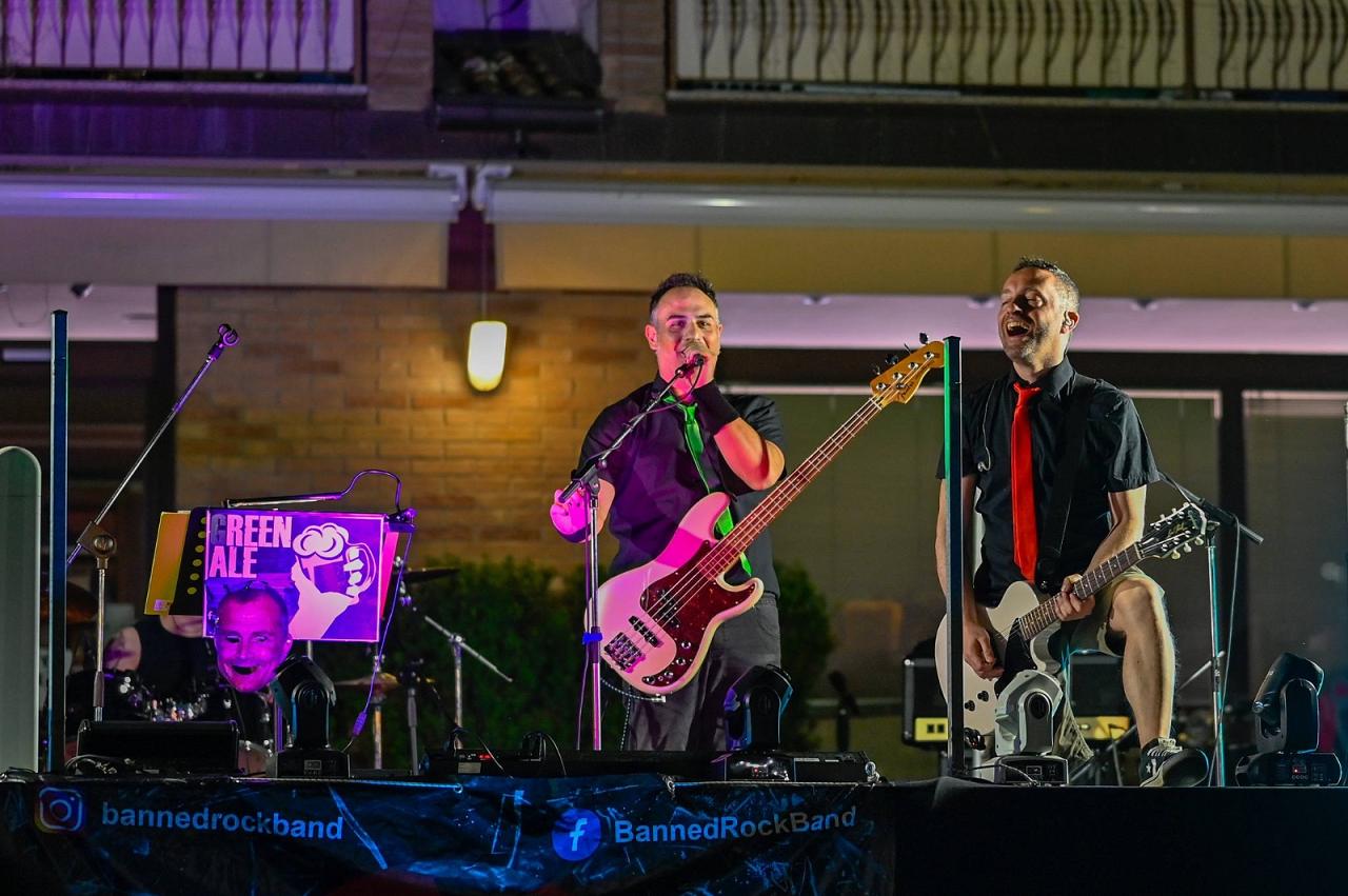 GreenAle Party Cover Band