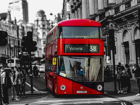 saveriociccophotography