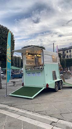Fancy Truck
