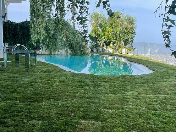 Pompei's Garden