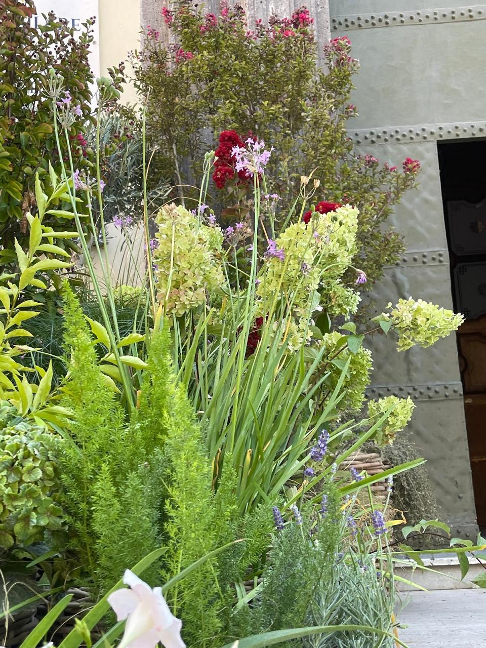 Pompei's Garden