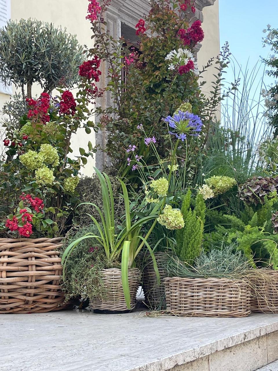 Pompei's Garden