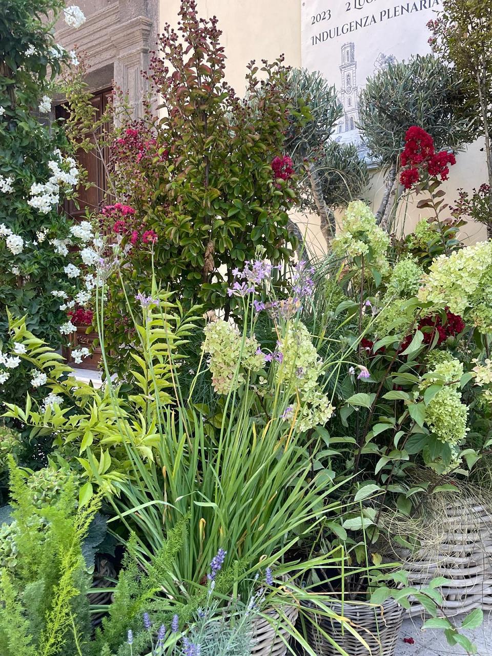 Pompei's Garden