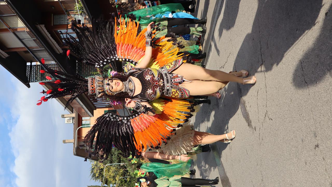 Samba Show