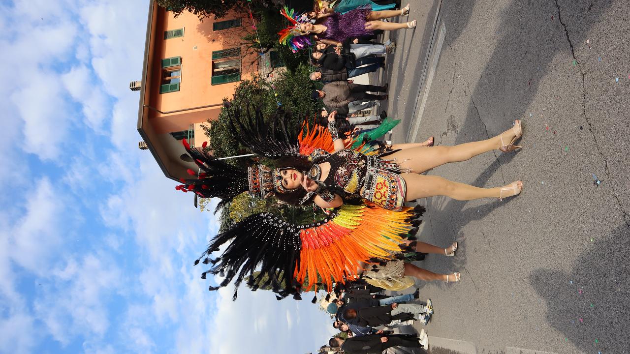 Samba Show