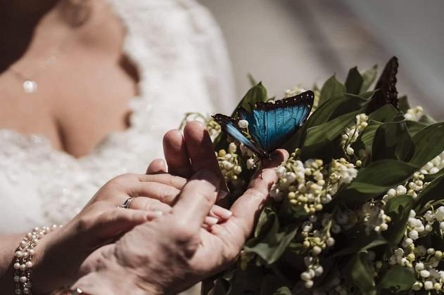 Volo di  Farfalle con Soprano e Musica per il  Rito 