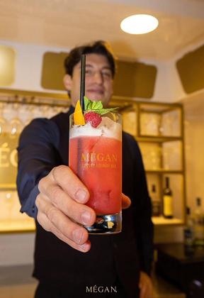 Mark Lovable Professional Bartender