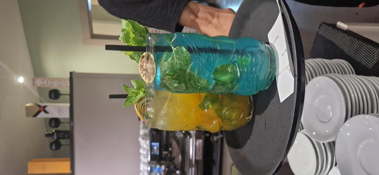 raffaeleselvaticoart