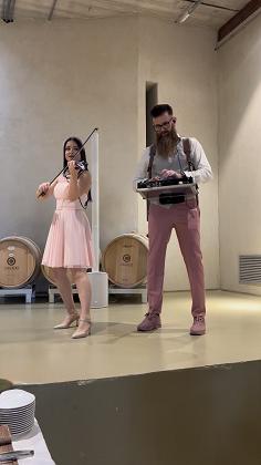Violintronic