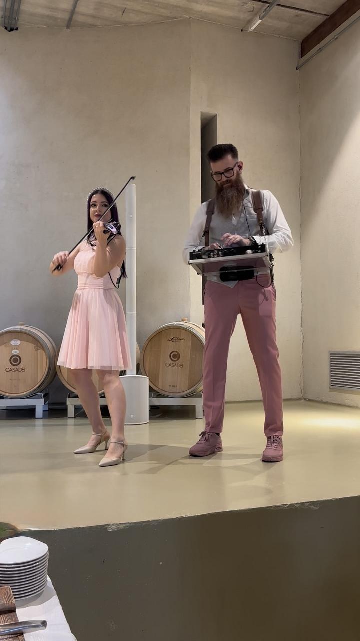 Violintronic