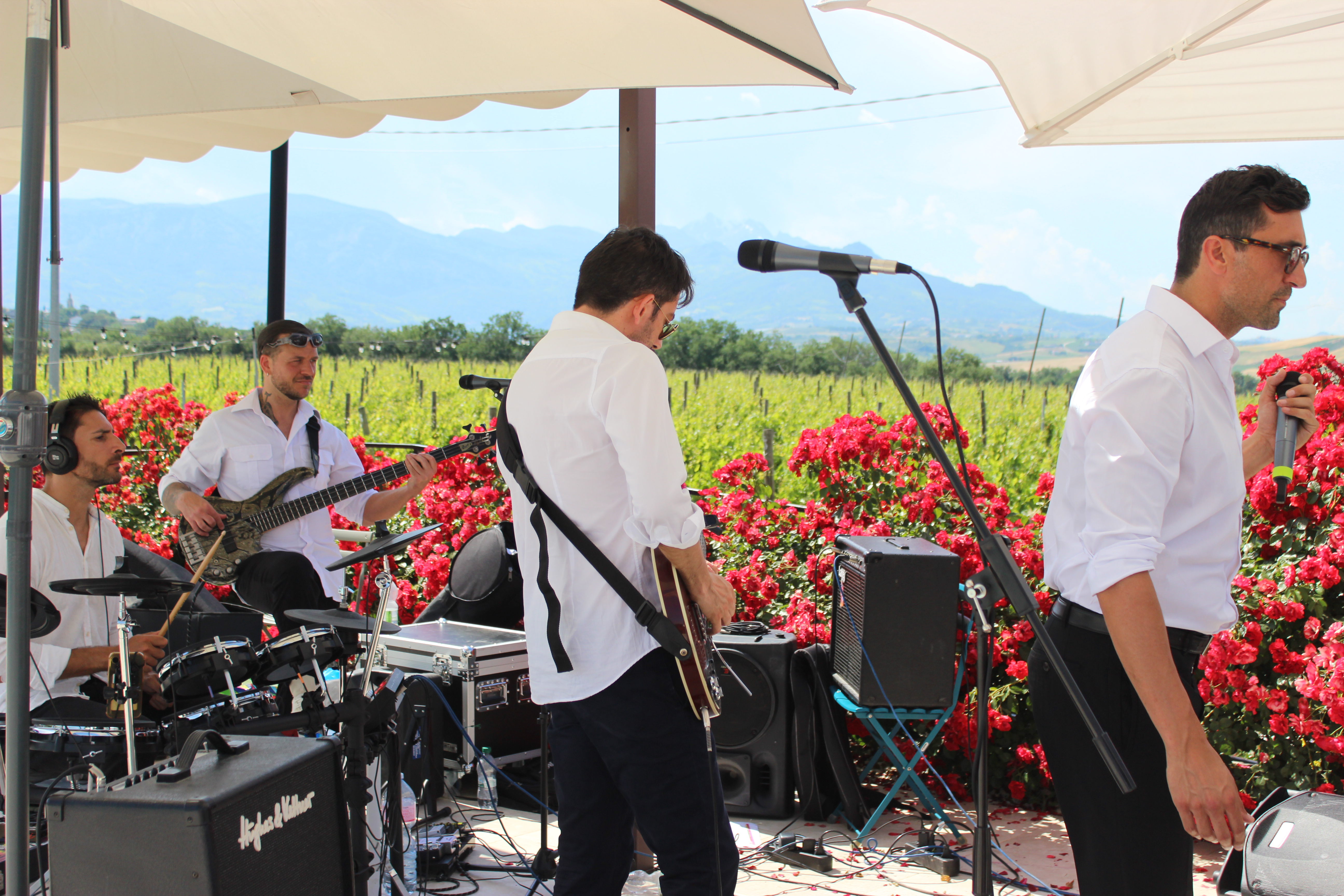 Paco liveband