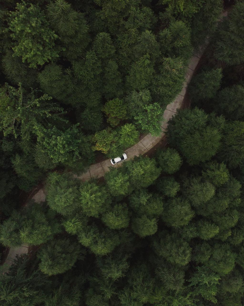 Aleks Filmmaker | Video e Drone in Eventi, Matrimoni e Hotel