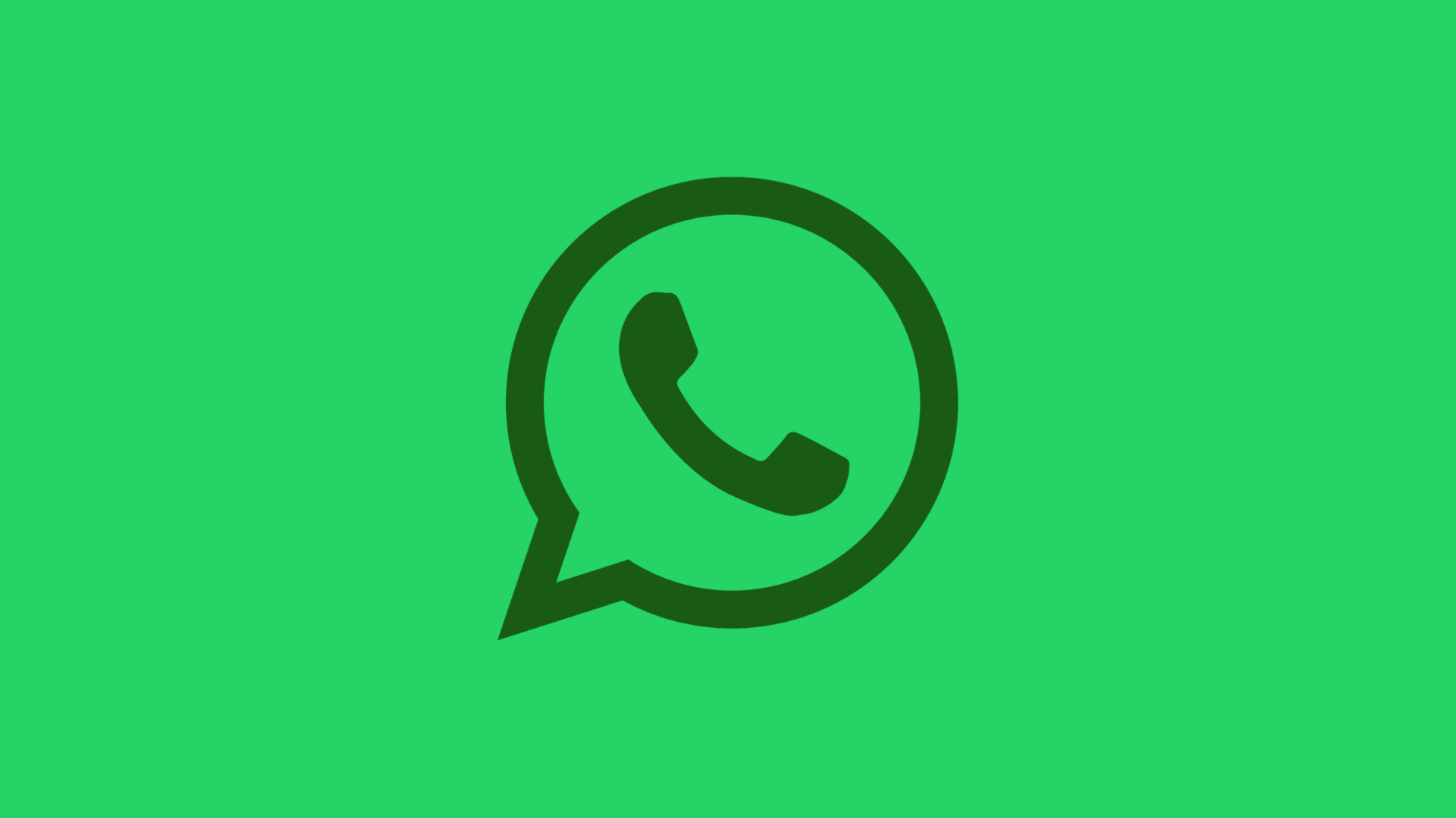 WhatsApp перенесет рассылки компаний в отдельную папку