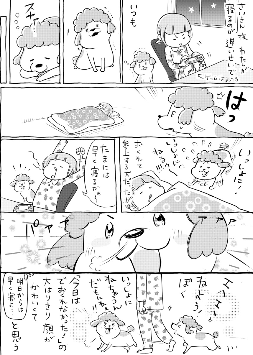 漫画家として活躍中の、松本ひで吉(@hidekiccan)さん。犬と猫に囲まれた日常を描いた漫画を投稿し、人気を博しています。