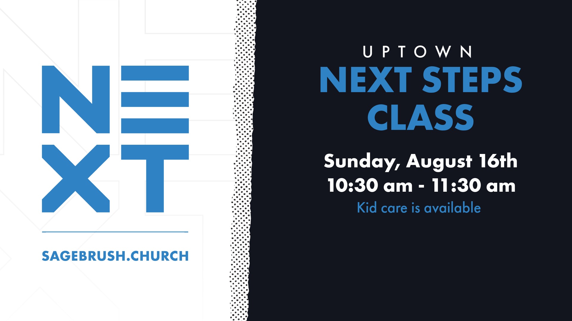 Next Steps (August 16)