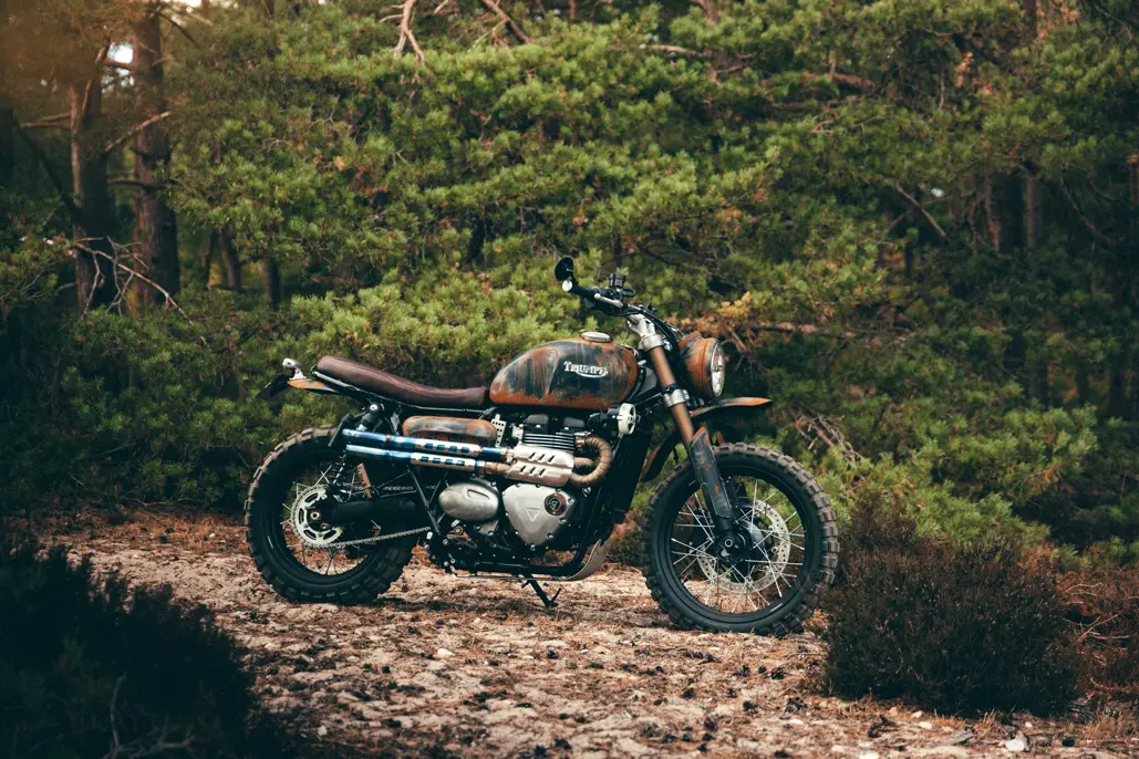 Triumph Originals 2026 Voting Now Open Triumph Originals 2026 Voting Now Open