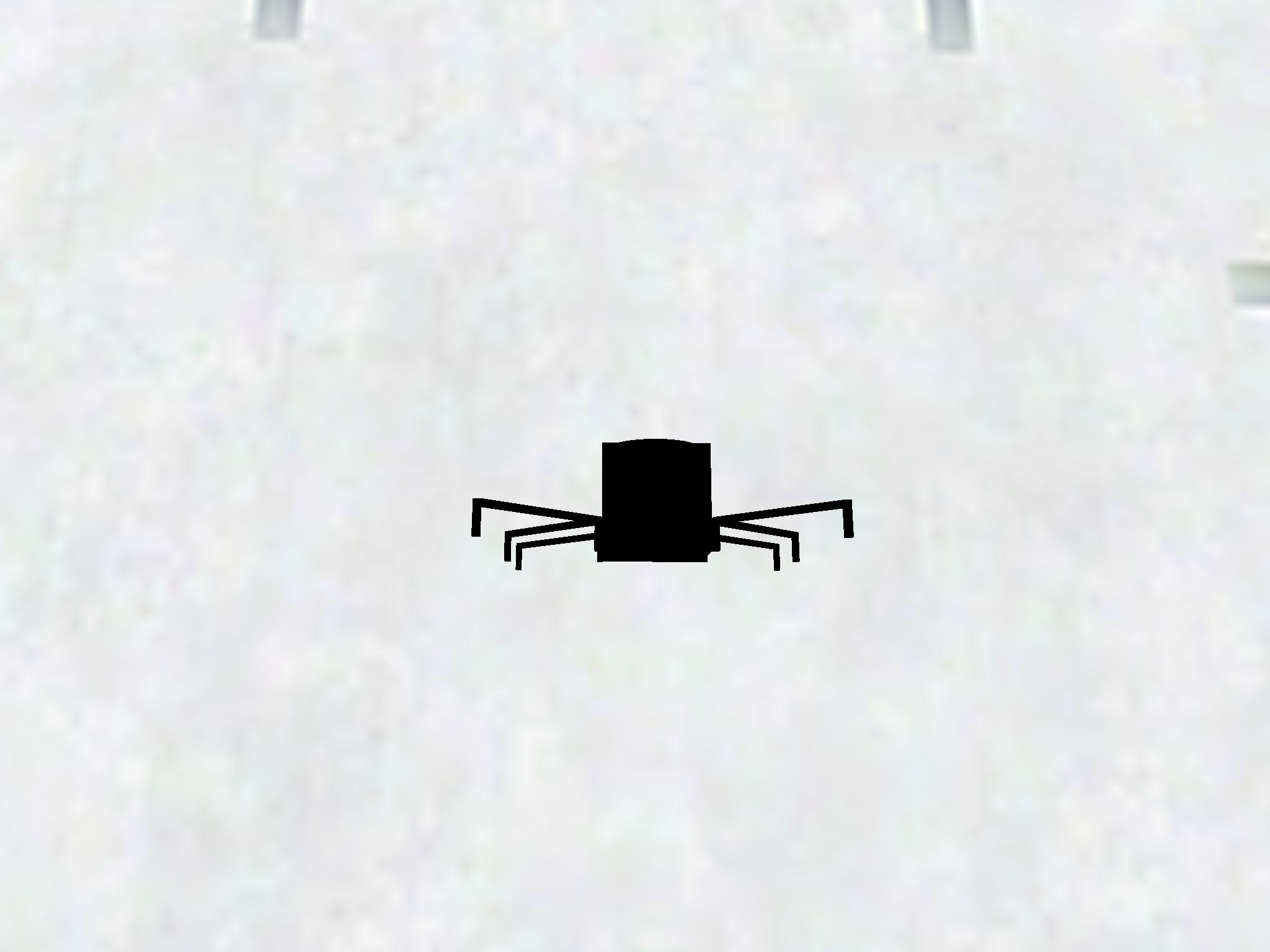 Spider Spider