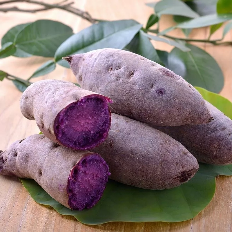 khoai mỡ
