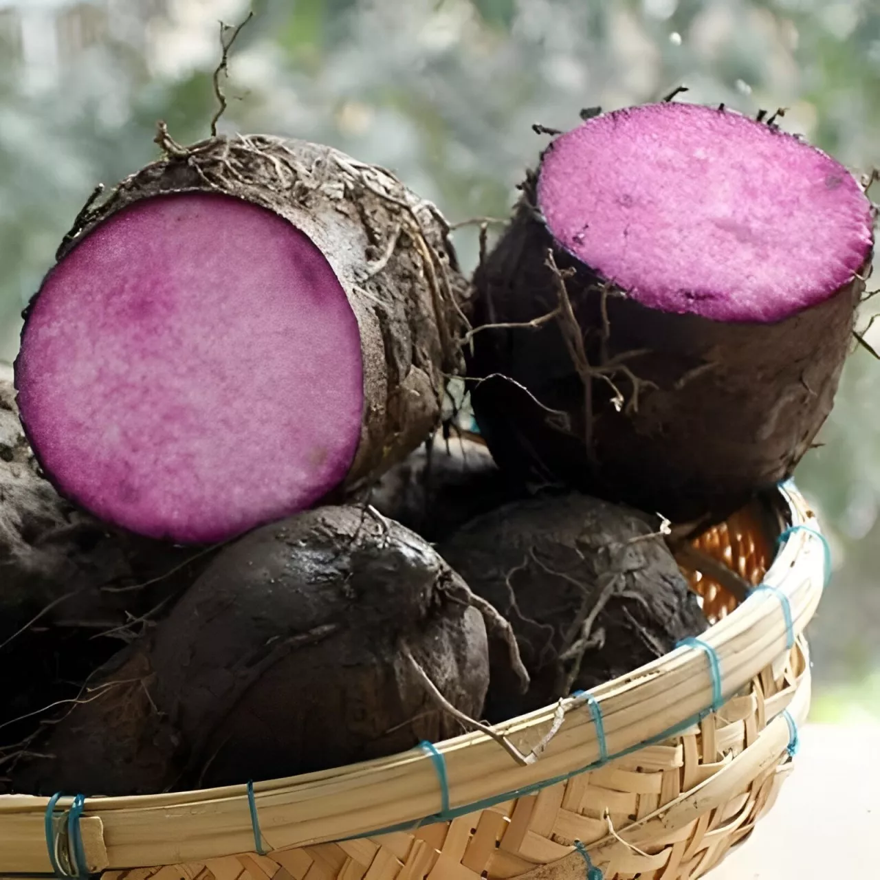 canh khoai mỡ bao nhiêu calo