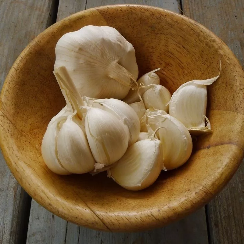 ăn tỏi nhiều có tốt không