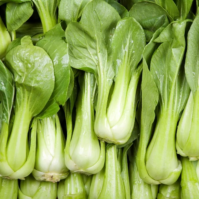 Cải thìa có tốt không