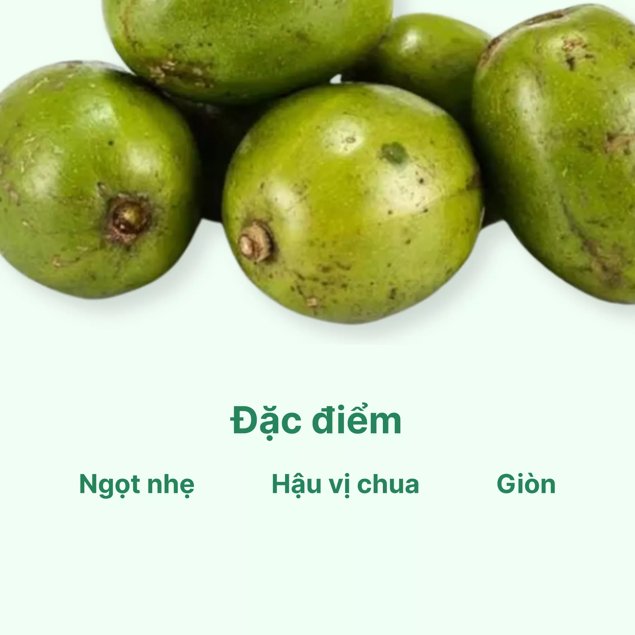 Cóc cày vỉ 5 trái - Chuỗi siêu thị thực phẩm tươi ngon, chất lượng