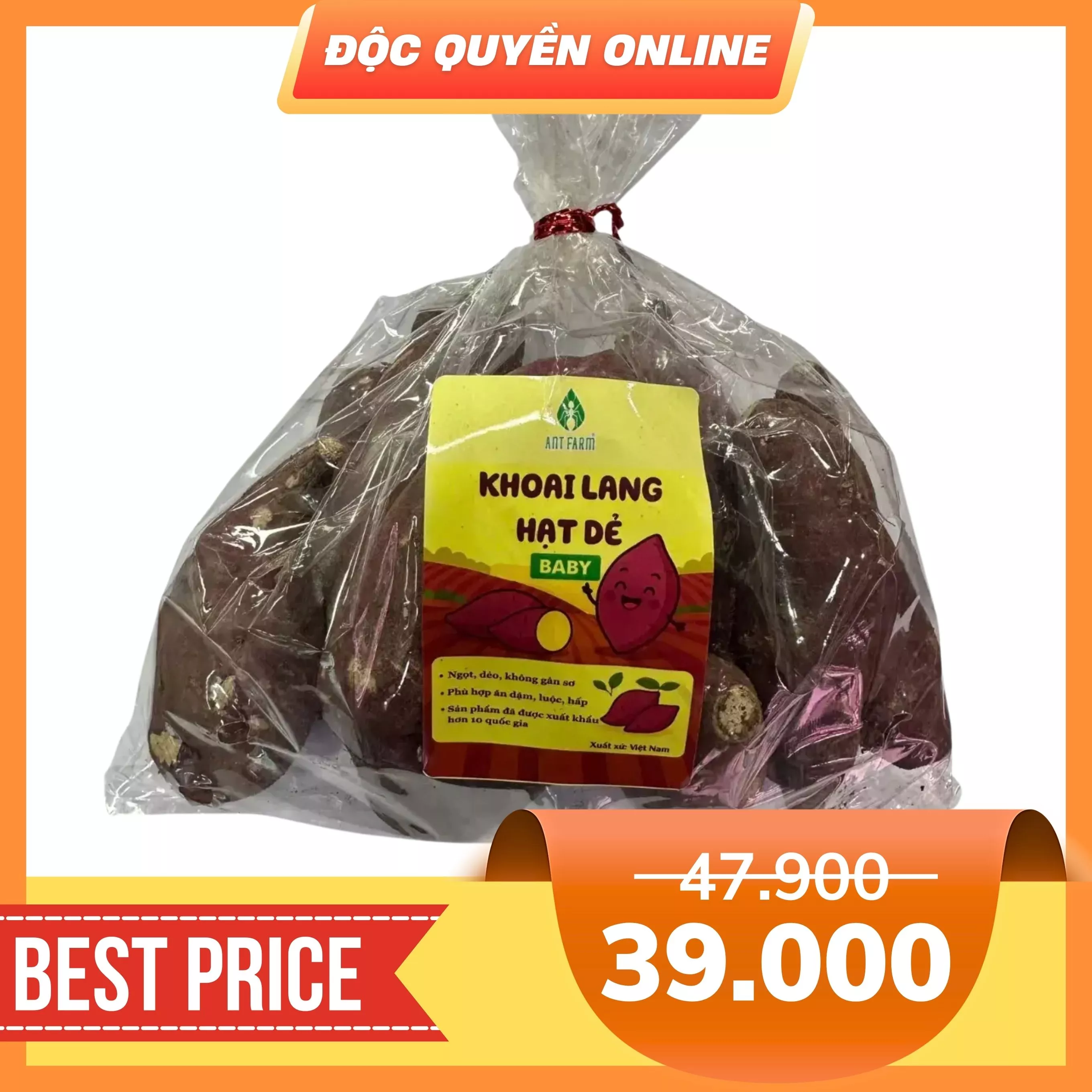 Khoai lang hạt dẻ baby túi 1kg (1 Túi)