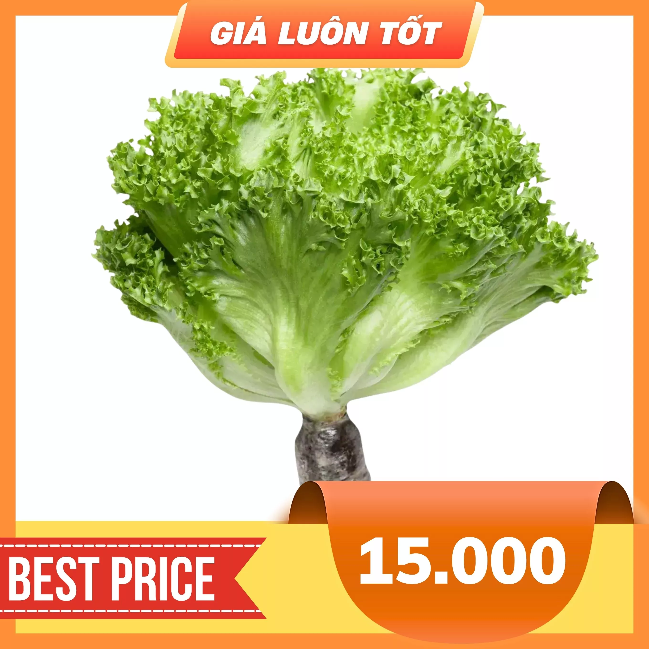 Xà lách thuỷ tinh thuỷ canh gói 200g (1 Gói)