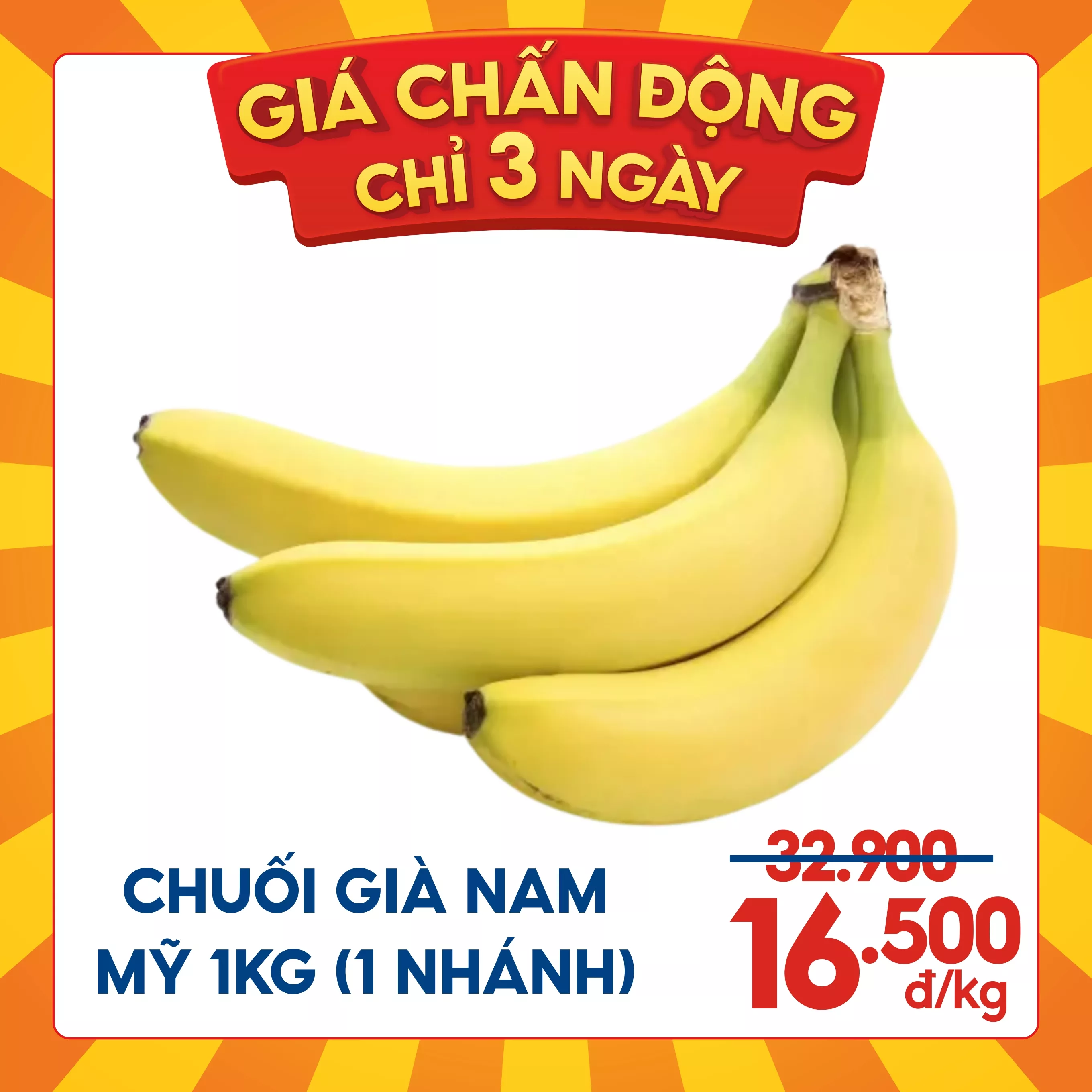 Chuối già Nam Mỹ 1KG (1 nhánh)