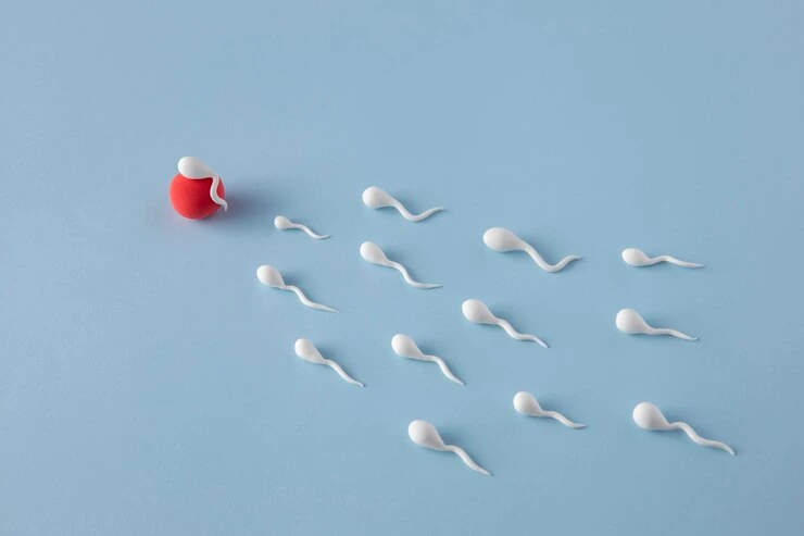 HCG Peptide in Fertility Treatment Italy 