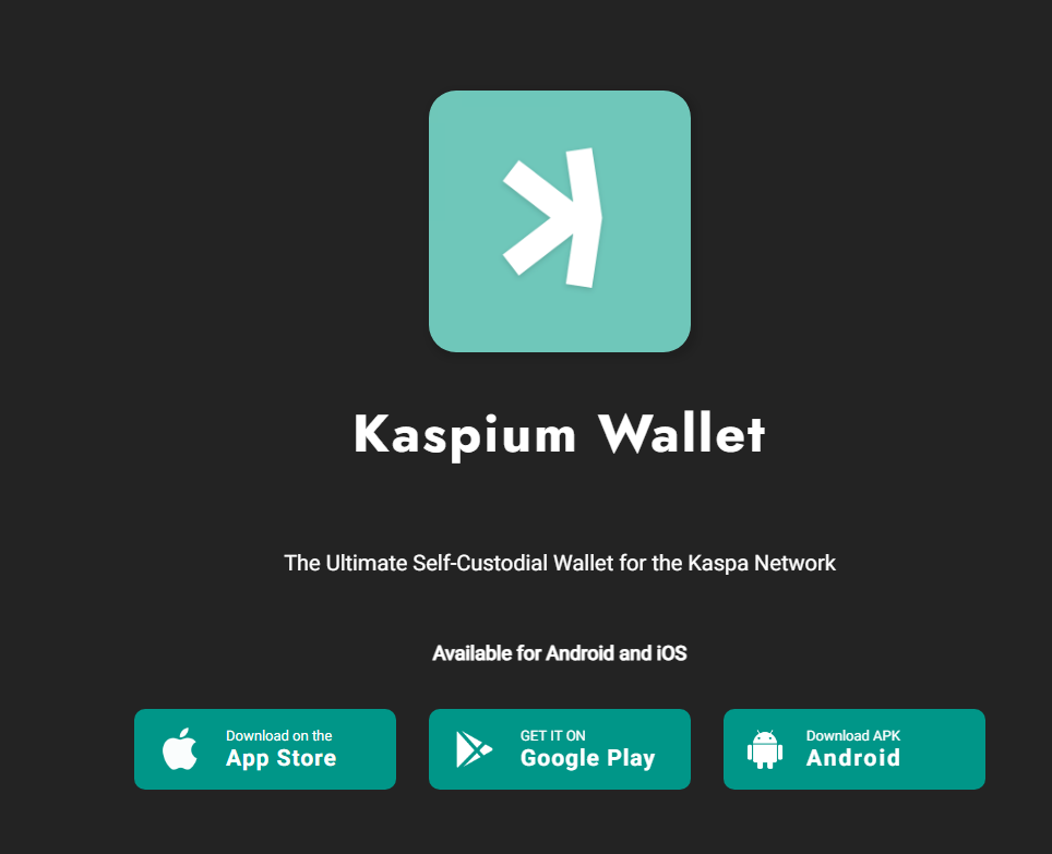 Best Kaspa Wallets Best Wallet to Store KAS