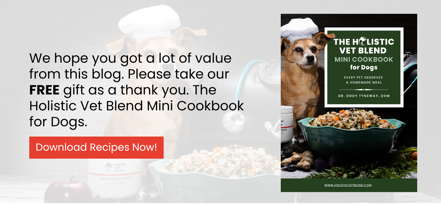 Holistic Vet Blend Mini Cookbook for Dogs