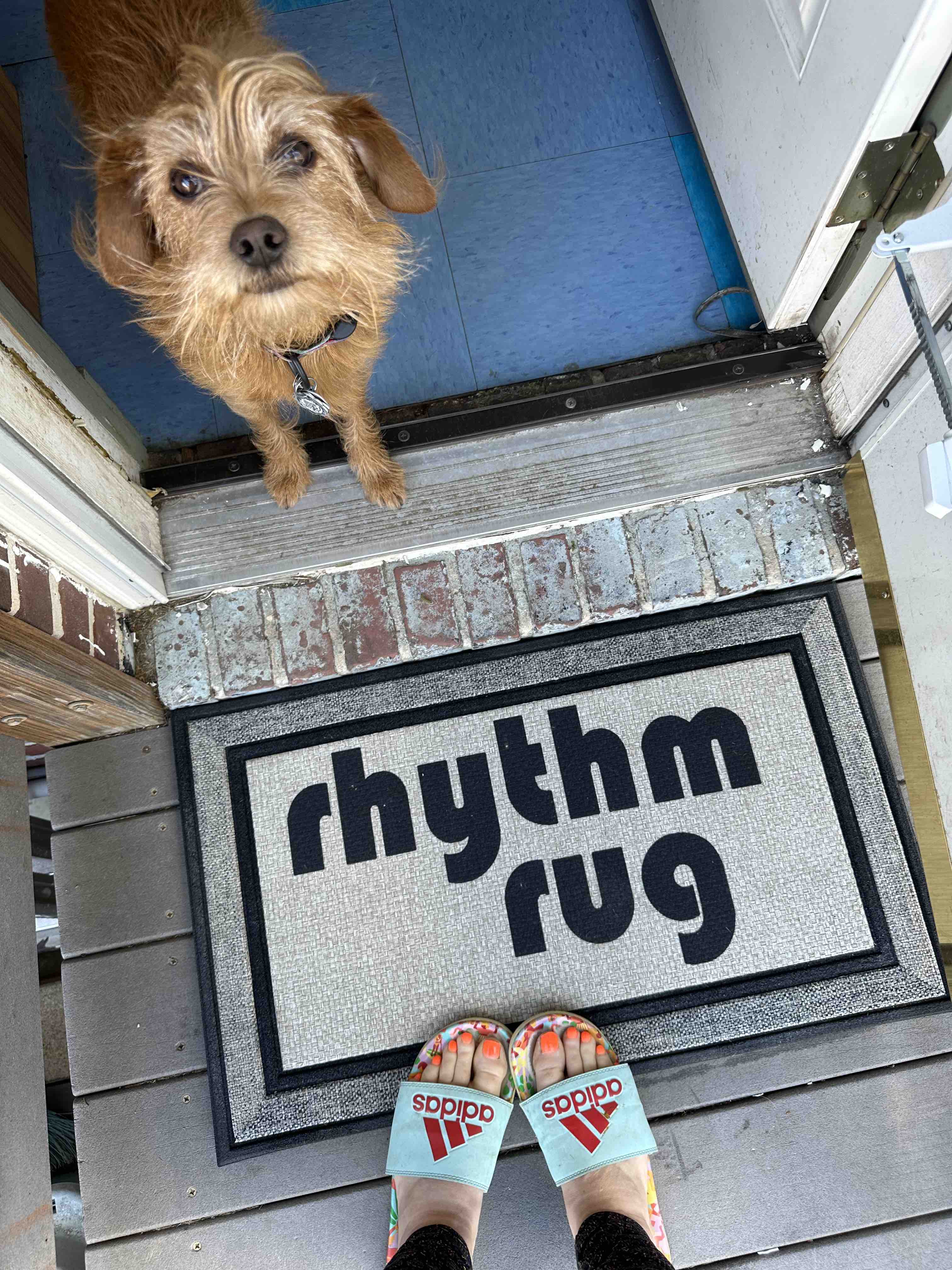 cute red terrier rescue dog looking up while standing in a doormat on a gray all weather doormat reading "rhythm rug"