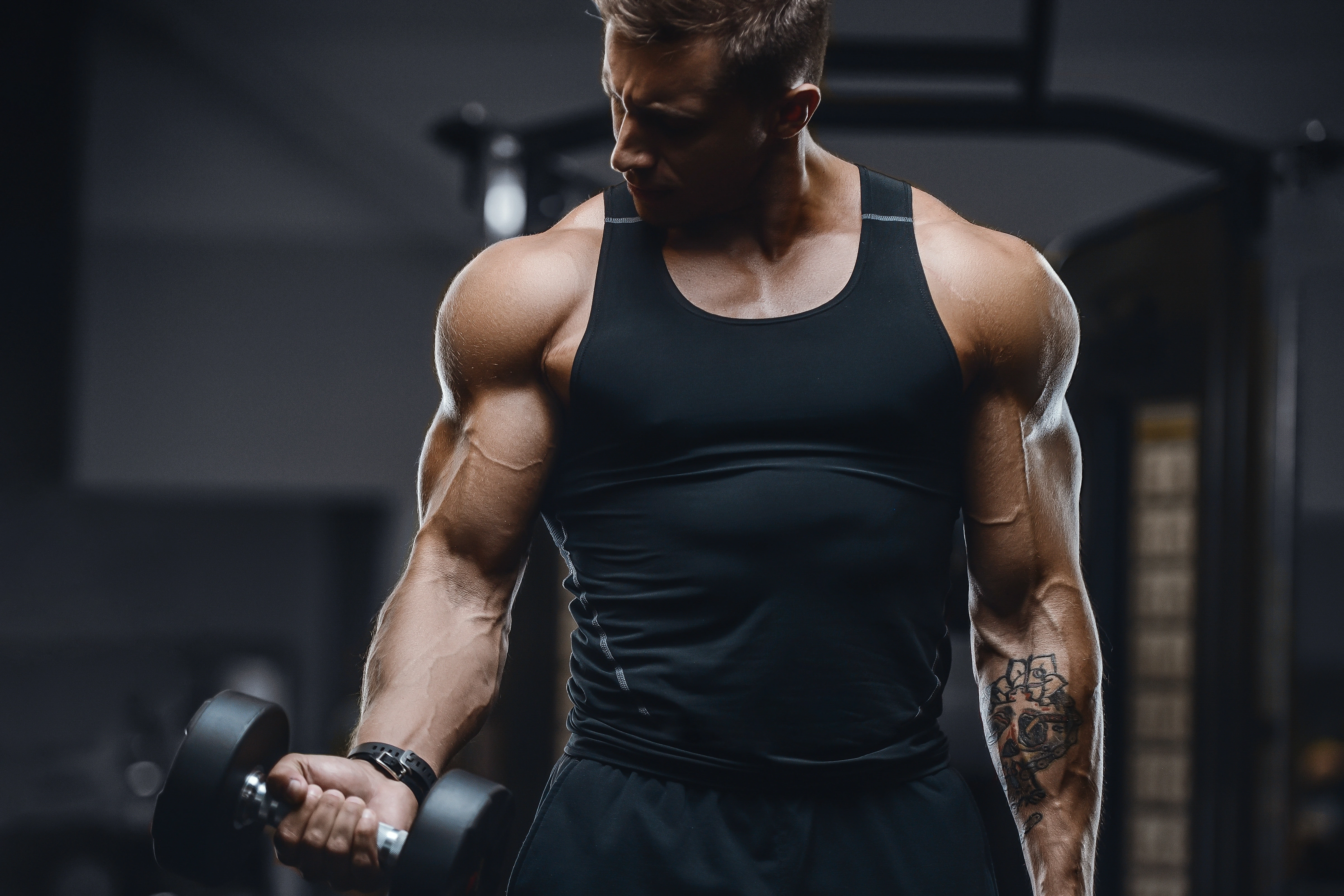  MK-2866 in muscle and bone repair