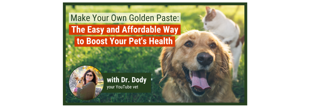 Holistic Vet Blend YouTube video about Golden Paste for Pets