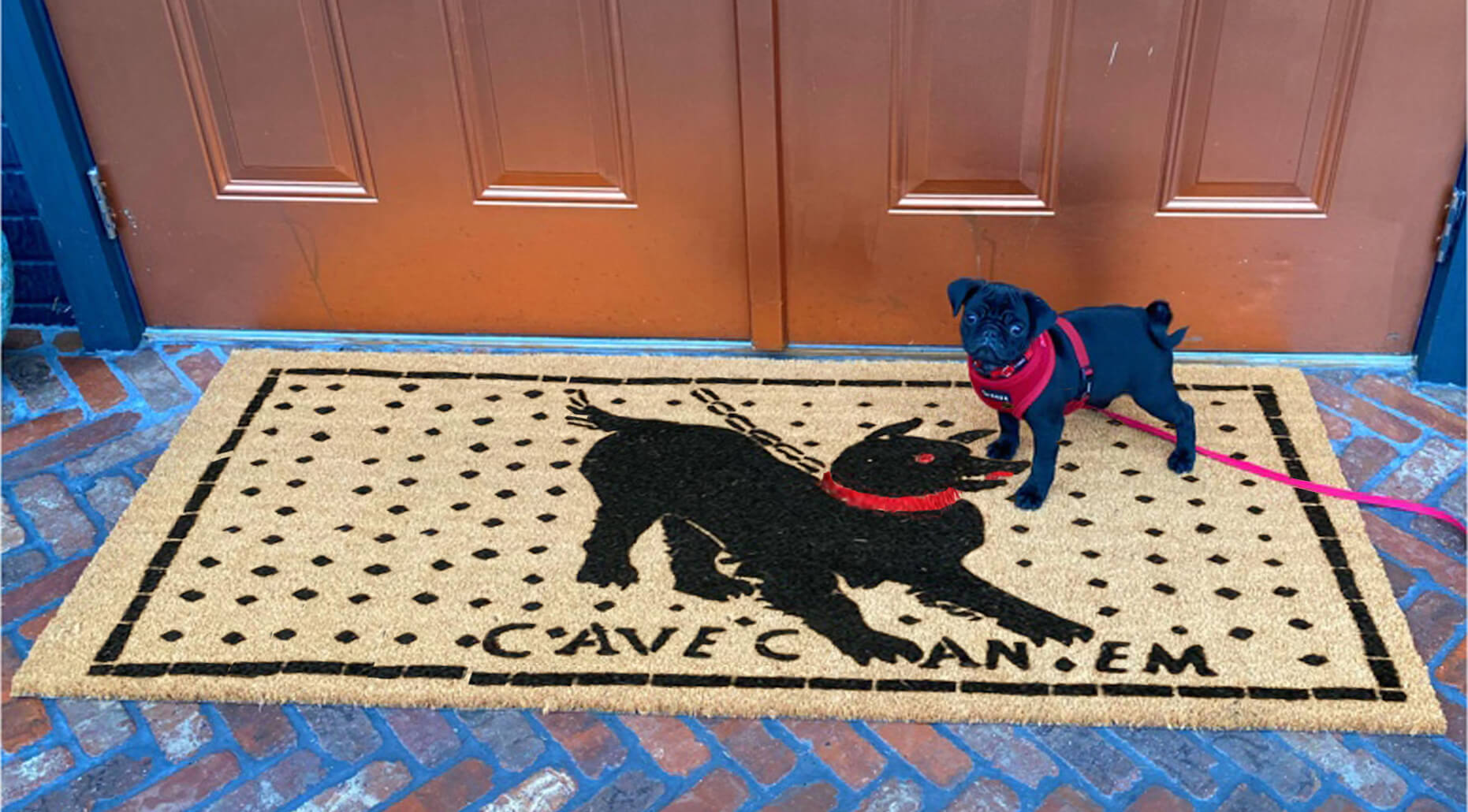 a double wide coir doormat on a brick patio with the Ancient Pompeii mosaic "Cave Canem" Beware of dog painted on it with a little black pug dog