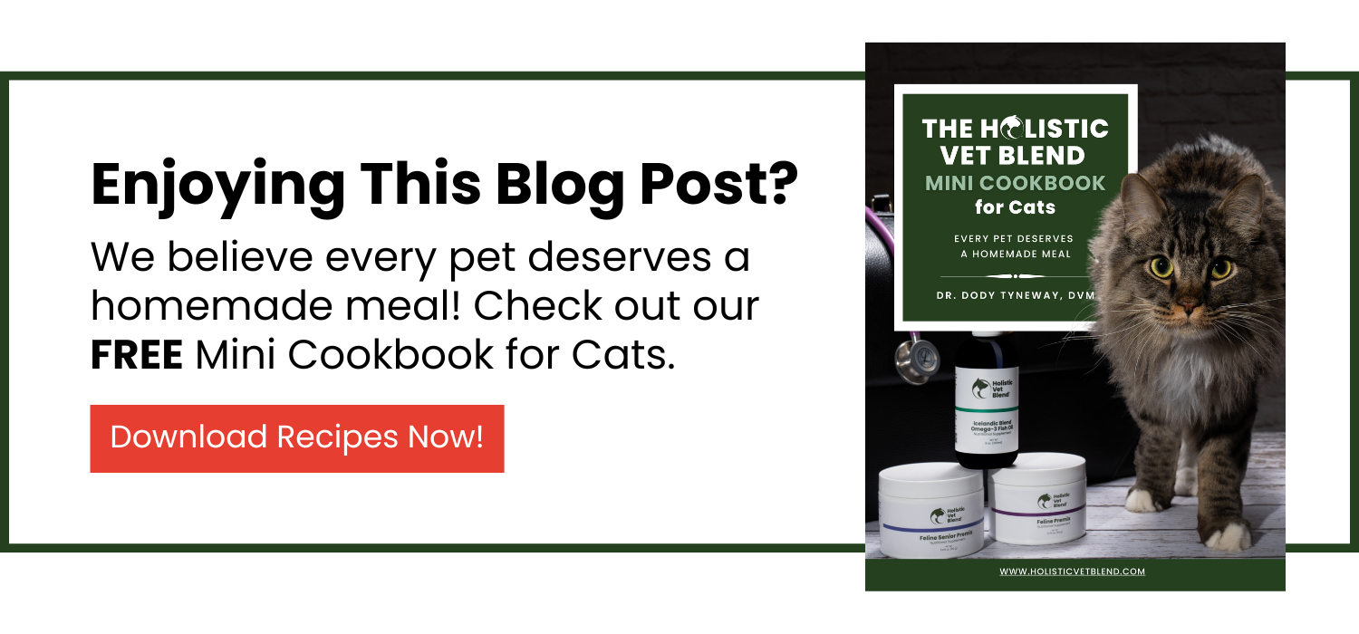 Holistic Vet Blend Free Mini Cookbook for Cats