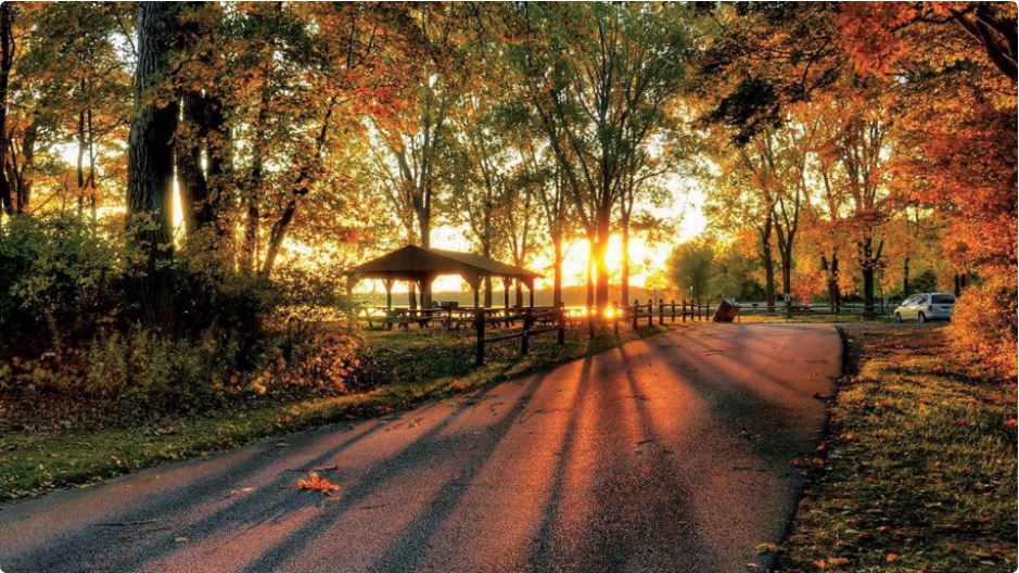 Top Pennsylvania Fall Foliage Viewing Spots