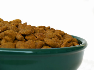 Image showing dog food