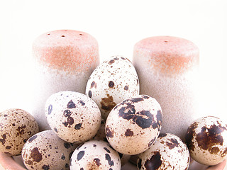 Image showing quail eggs